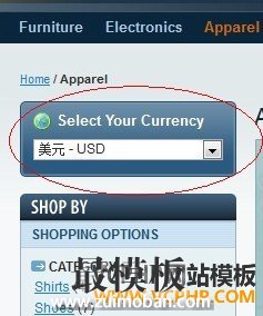 Magento货币切换块
